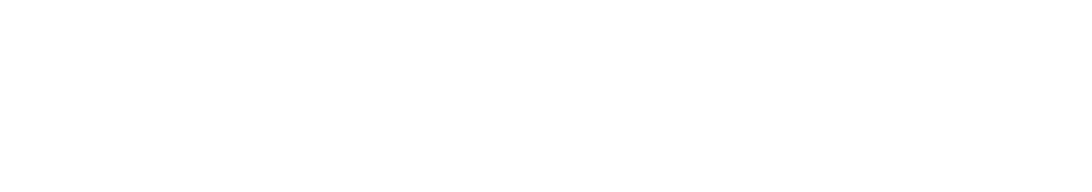 Webexpenses-Logo-Master-Whiteout